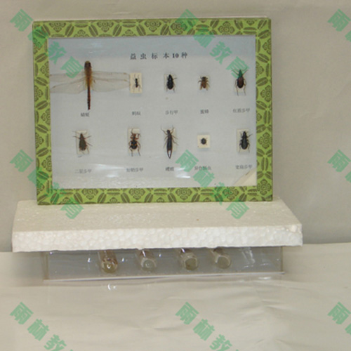 益蟲標(biāo)本
