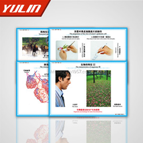 微生物及免疫教學(xué)掛圖