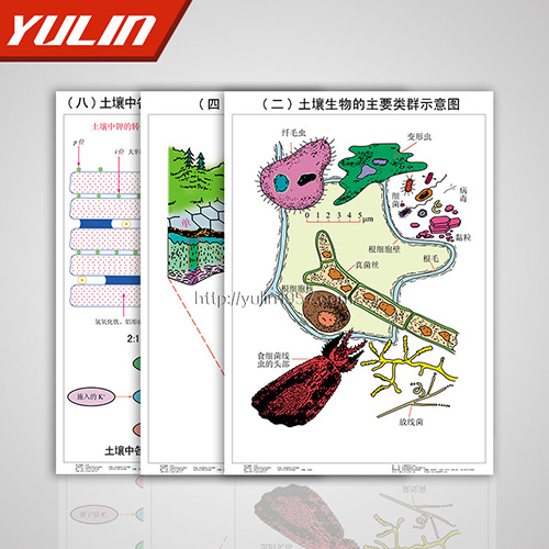 土壤肥料掛圖