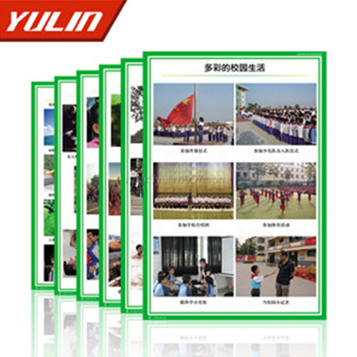 小學品德與社會掛圖