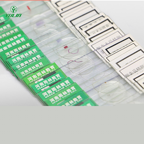 中藥干制標(biāo)本